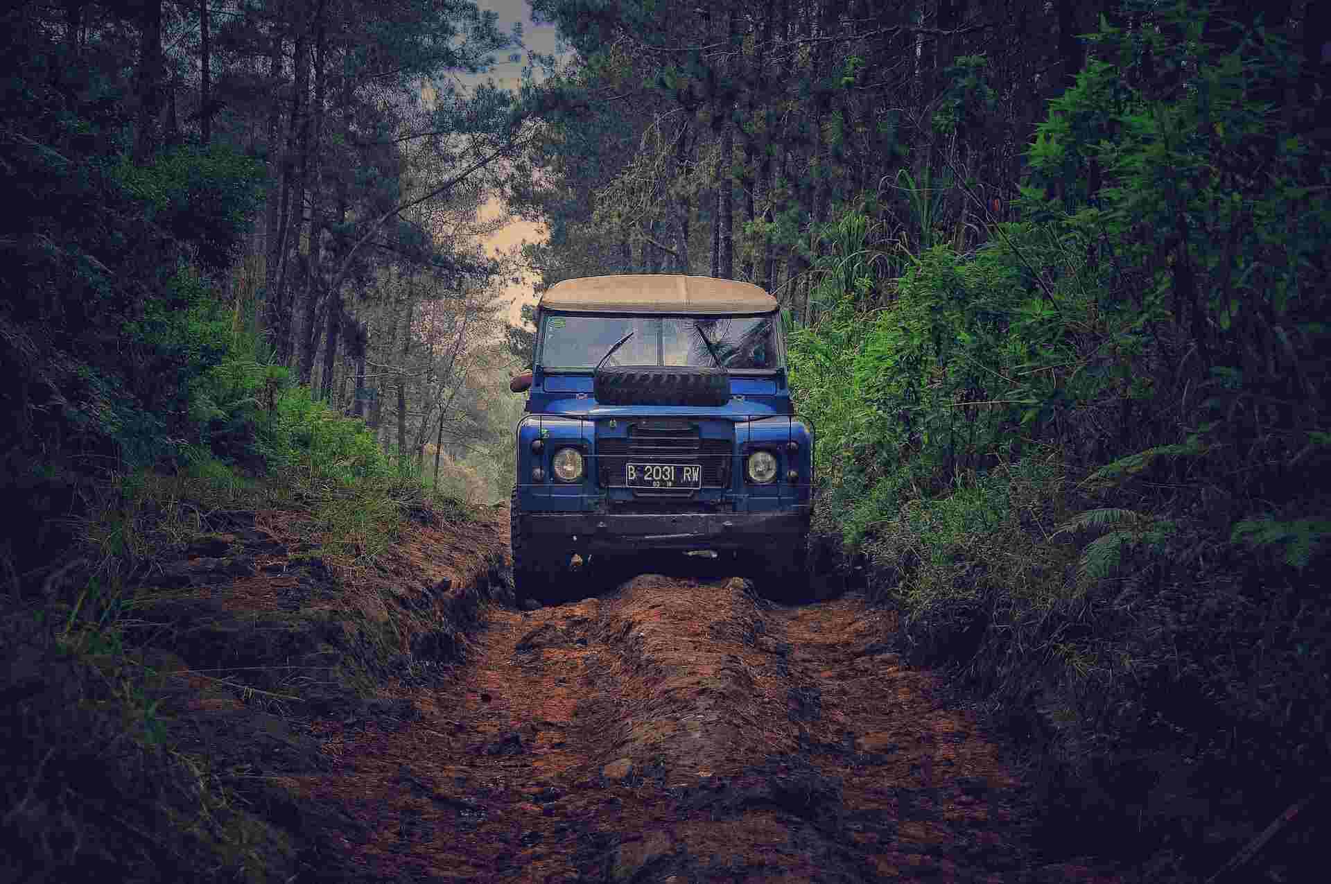 ranthambore jeep safari